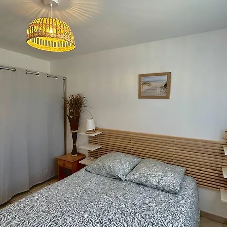 T3 Moderne Avec Climatisation Et Terrasse Au Barcares - Fr-1-529-127